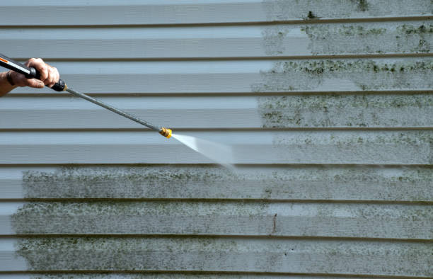 Best Pressure Washing Siding  in Mountain City, TN