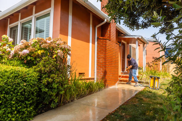 Best Exterior Home Cleaning  in Mountain City, TN